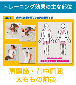 油圧式筋トレマシン エムワン(M-1)